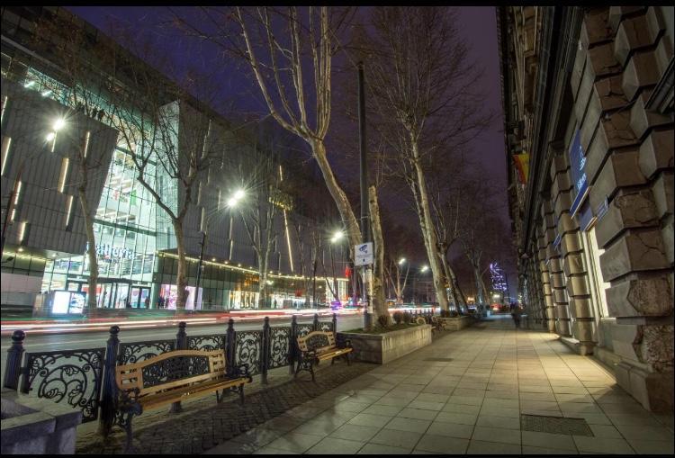 Rustaveli Apartment City Centre 第比利斯 外观 照片